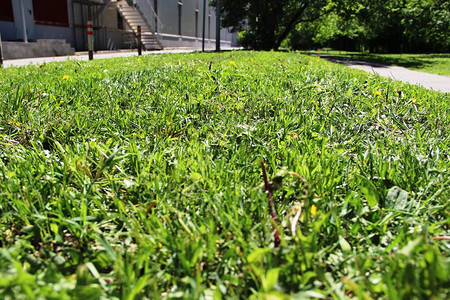 割草城市公用事业的工作城市草坪图片