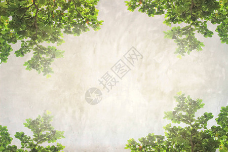 绿叶水泥墙纹理背景图片
