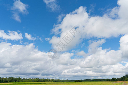 在绿色草甸的美好的cloudscape图片