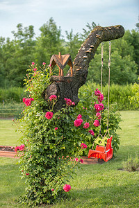 盛开的九重葛红玫瑰与鸟舍图片