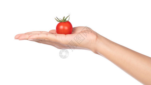 手心里的西红柿背景图片