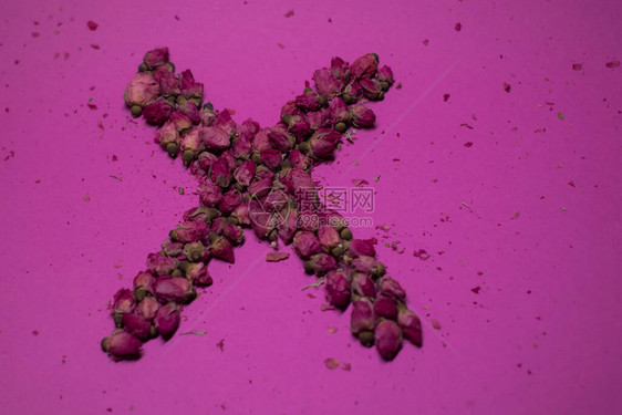 粉红背景的粉红色小玫瑰X图片