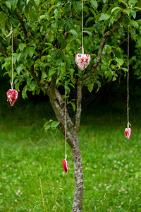四个手工棉织物心挂在绿草背景树上的韧皮绳上挂在晾衣绳上的红色织物心夏季婚礼主题爱和图片