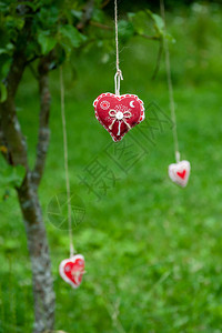 三个手工棉布心挂在绿草背景树上的韧皮绳上挂在晾衣绳上的红色织物心夏季婚礼主题爱和图片