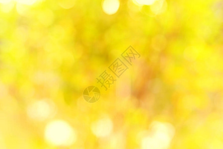 自然黄色布OKh背景温暖的黄金色调模糊的橙色树图片
