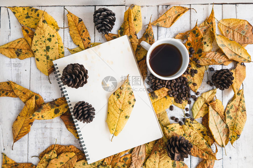 白色和秋天的黄叶和一杯咖啡