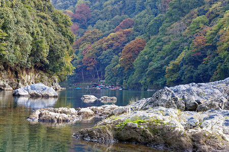 日本青山的美丽河流和一片森林图片