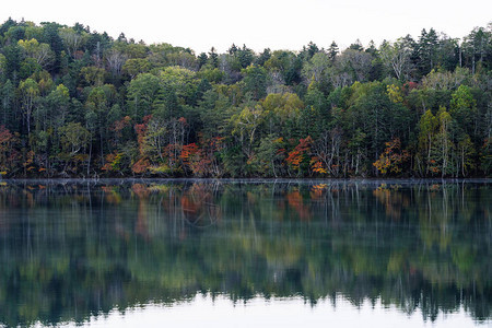 秋天的北海道湖图片