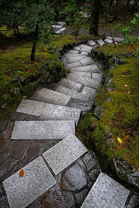 日本花园的石阶图片