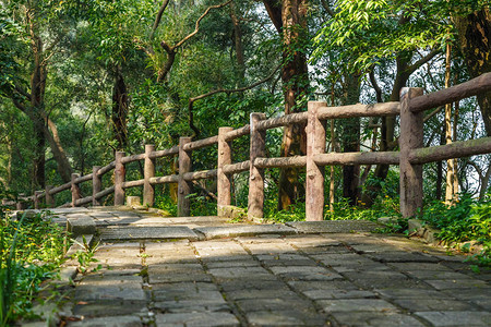 深圳山地公园内带木头栏杆的混凝图片