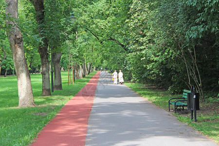 夏季公园与绿树之间的路径和跑步机夏季景观与城市公园城市公园绿叶中的树木绿树间有小图片