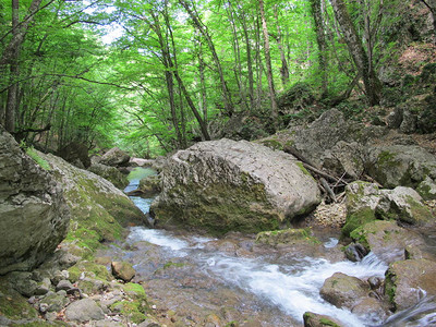 风景如画的山区河流沿峡谷底部流动图片