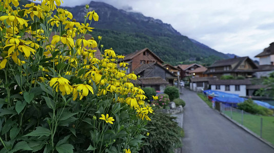 旅游村镇风景图片