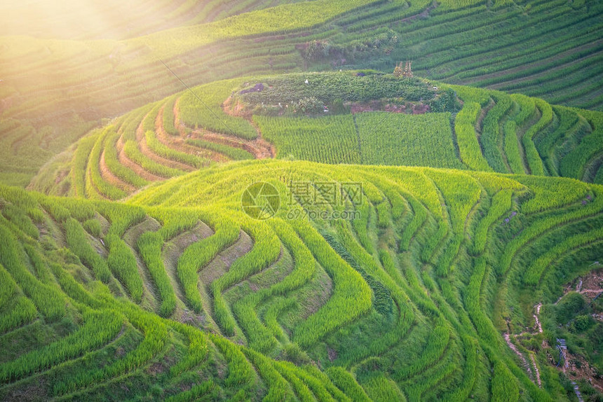 广西桂林北部村龙脊梯田的组成部分的七星伴月观图片