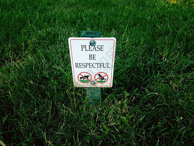 请在草地上用狗尿和便做图片