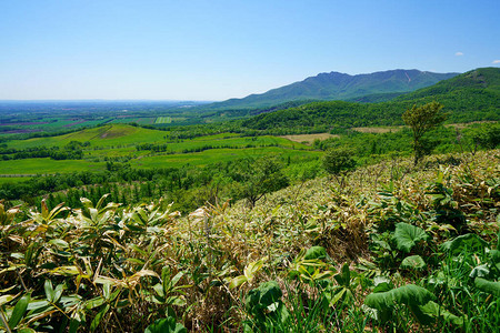 北海道西米津的马鲁图片