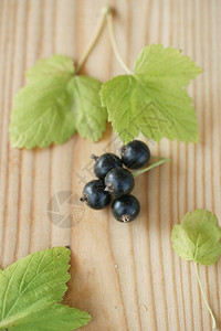 木板背景上成熟的蓝醋栗浆果图片