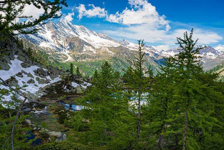 高山湖泊在岩石和森林中的田园诗般的环境中山上高海拔的图片