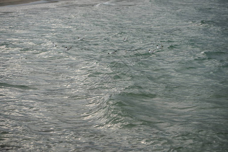 与波浪和波纹的海水表面图片