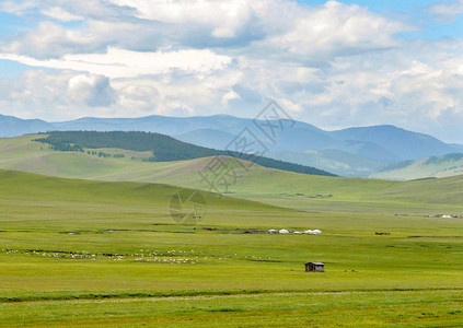 游牧蒙古人用一大片草地放牧羊群和马群图片
