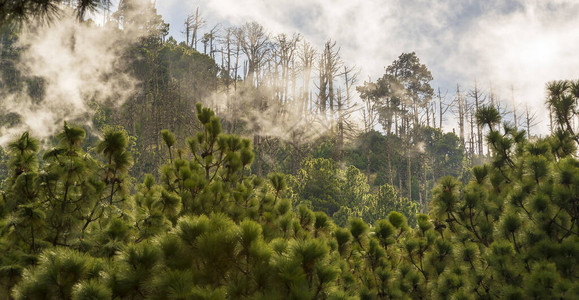 中美洲危地马拉阿卡特南戈火山Acatenango图片