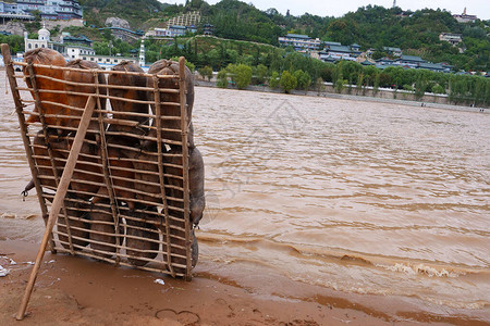 甘肃兰州黄河羊皮筏图片