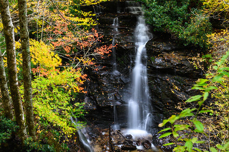 深秋林中的清凉瀑布背景图片