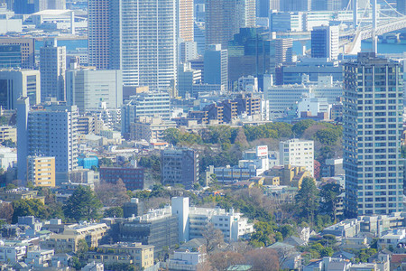 从Ebisu花园地点观测台图片