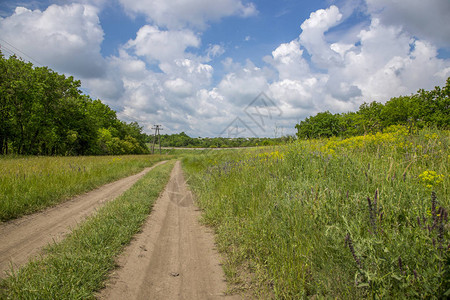铁路和乡村公路的夏季景观图片