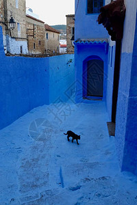 蓝色后院晚上在摩洛哥的蓝色城市厨师S图片