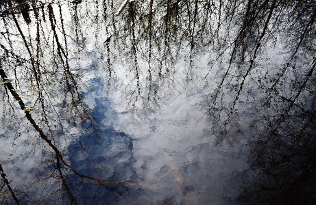 树木的剪影和白云的天空倒映在水中图片