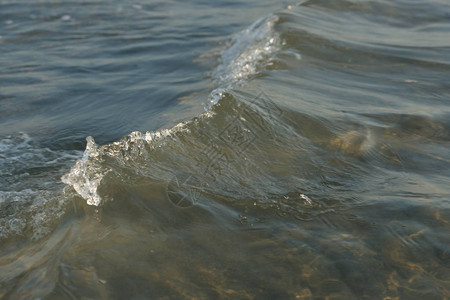 美丽而清澈的海水海图片