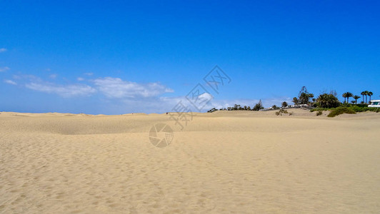 PlayadelIngles是马斯帕洛马斯的一部分dunas的美丽景色图片