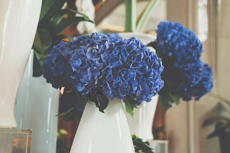 蓝色绣球花束在花瓶里植物群装饰图片