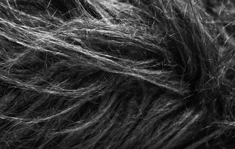 黑色柔软的天然动物羊毛纹理背景皮毛深色蓬松毛皮的特写纹图片