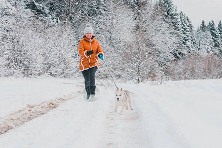年轻女子在冬季森林里和一只哈斯基小狗一起晨跑图片