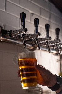 男人倒轻金啤酒从啤酒水龙头倒在玻璃杯里用白图片