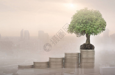 金融银行和增值货币增长概念这棵树生长在有城市商业背景的图片