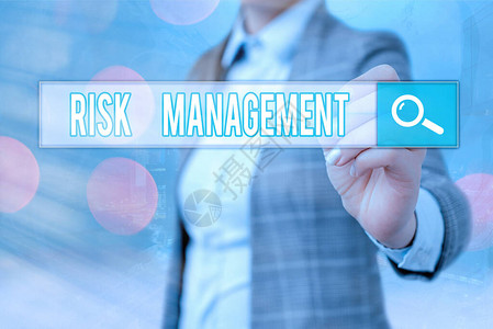 文字书写文本风险管理展示财务风险或程序问题评图片
