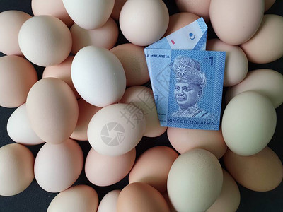 鸡蛋消费和生产成本价格一个环金的马莱斯纸币和大量有机鸡蛋图片