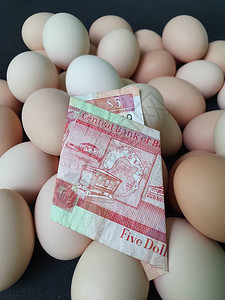 鸡蛋五美元伯利兹纸币和一堆有机鸡蛋的消费和图片