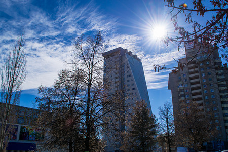 阳光照耀着城市树木和高升起的公寓楼图片
