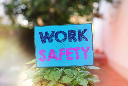 显示工作安全的文字符号企业为保护工人健康而采取的商业照片文字预防措施附在棍子上并放置在绿叶植物图片