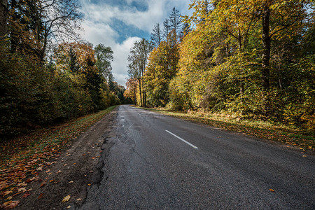 阳光明媚的黄色秋天金色道路带有前图片