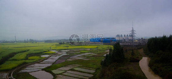 Canola田地Luoping带烟雾的图片