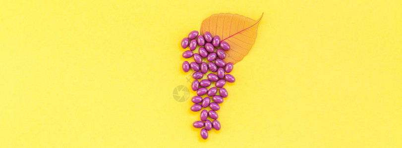 紫色营养补充剂葡萄籽提取丸成串葡萄形状图片