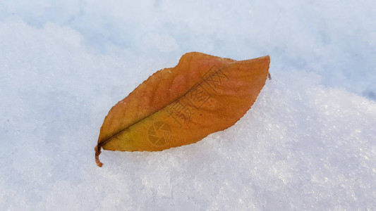 冬天积雪的地面背景图片