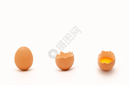 套鸡蛋壳蛋清和蛋黄图片