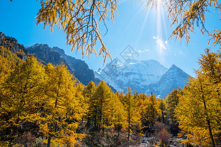 山风景在稻城亚丁的雪山四川图片