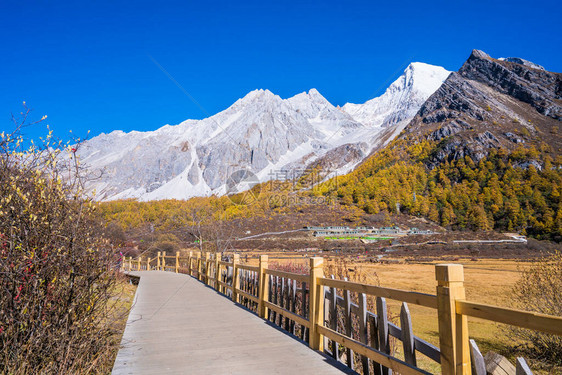 山地景观四川大田图片